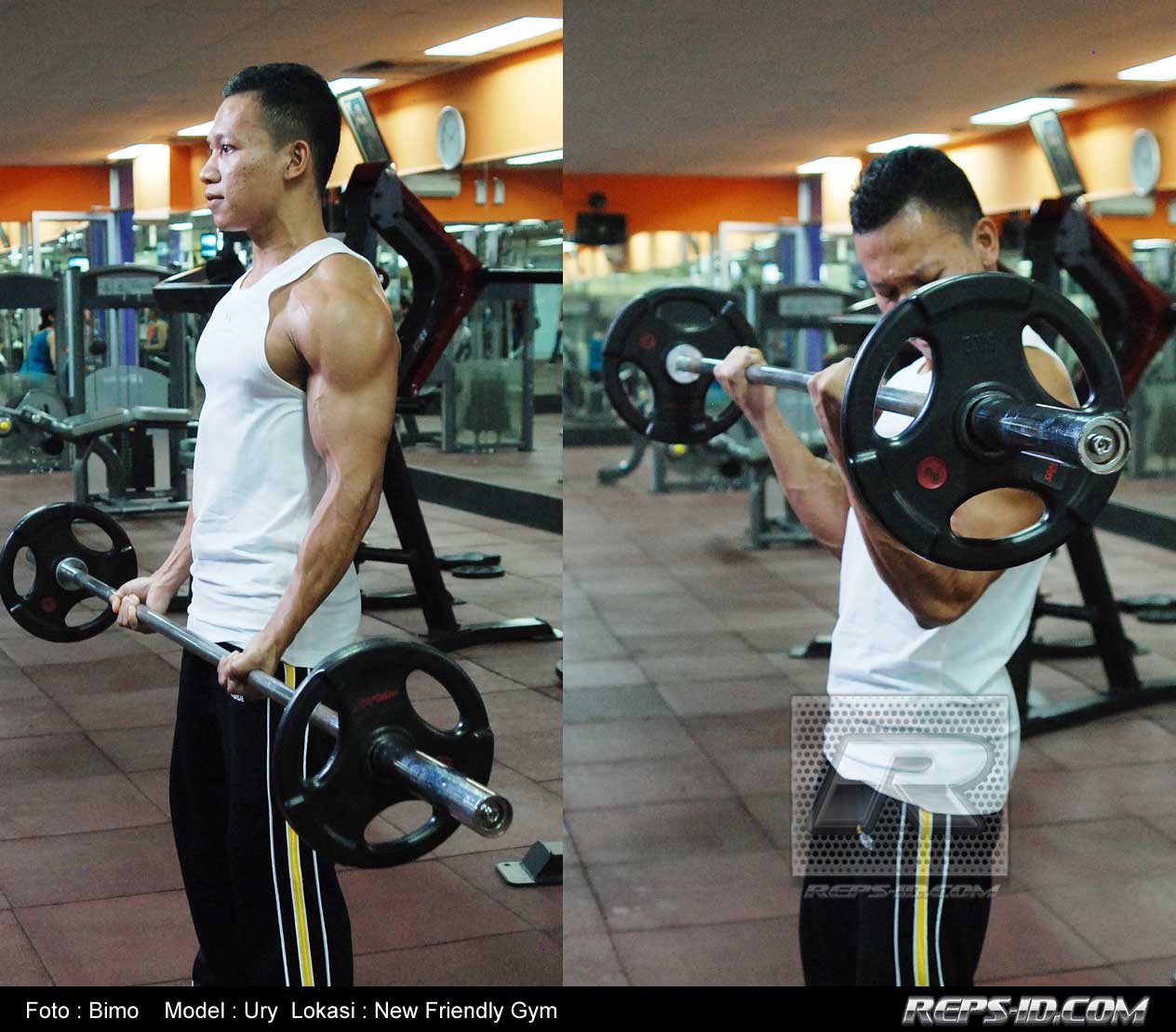 barbellcurl Reps Indonesia Fitness & Healthy Lifestyle