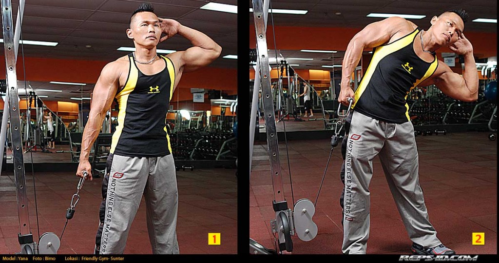 cablesidedips Reps Indonesia Fitness & Healthy Lifestyle