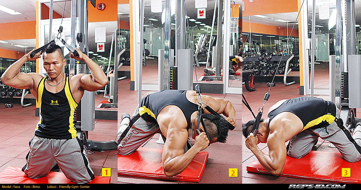 kneeling-cable-crunch