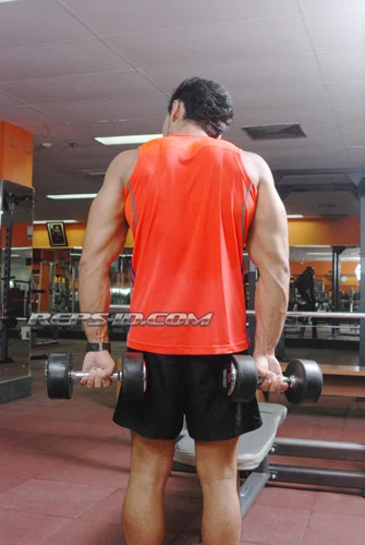 BEHIND THE BODY REVERSE WRIST CURL1