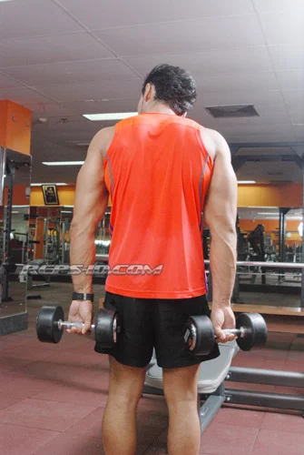 BEHIND THE BODY REVERSE WRIST CURL2