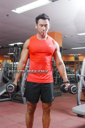 HAMMER CURL1