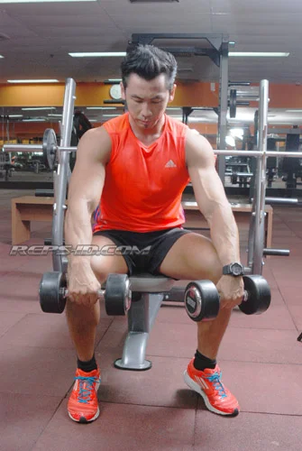 REVERSE WRIST CURL1