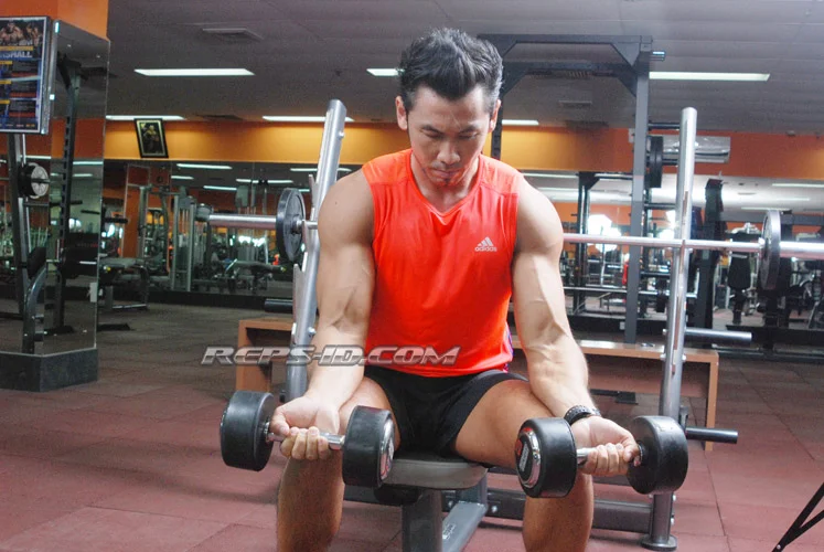 WRIST CURL1