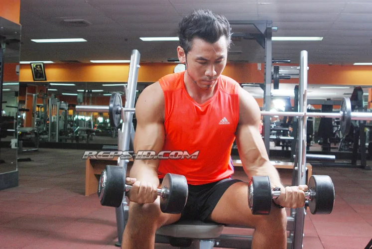 WRIST CURL2
